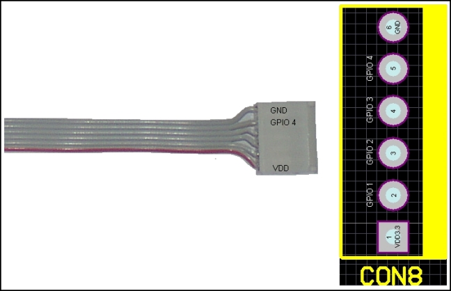 RMS-200 GPIO pin out.